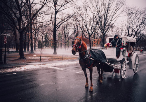 Spreekwoord uitgelegd: Het paard achter de wagen spannen